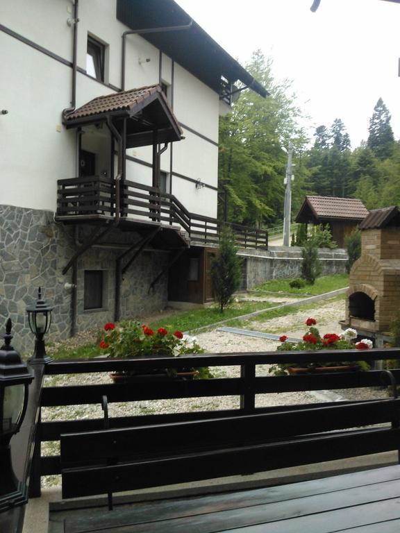 Vila Dani Sinaia Rom bilde
