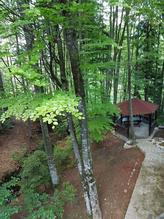 Vila Dani Sinaia Eksteriør bilde