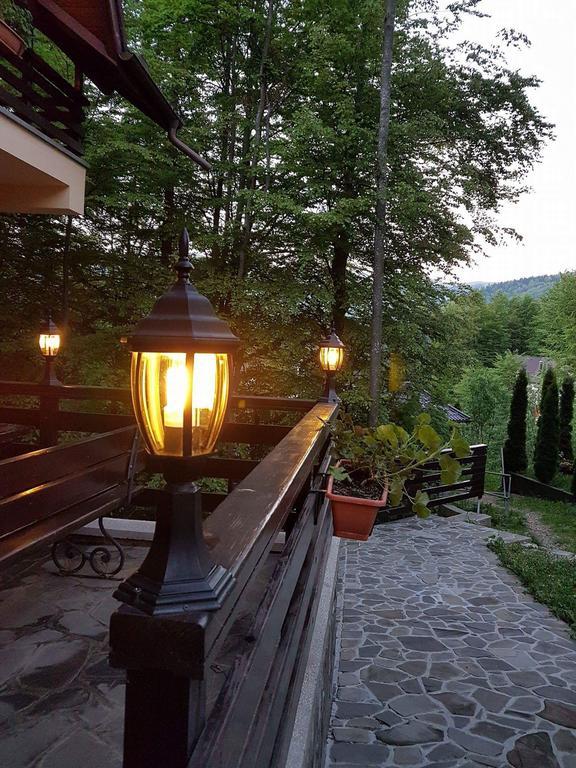 Vila Dani Sinaia Eksteriør bilde