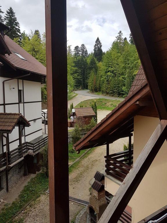 Vila Dani Sinaia Eksteriør bilde